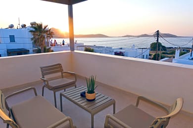 La Maltese Central - Image 2