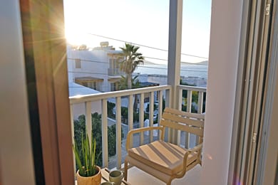 La Maltese Central - Image 6