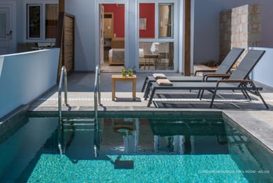 Standard Double Room with Individual Pool