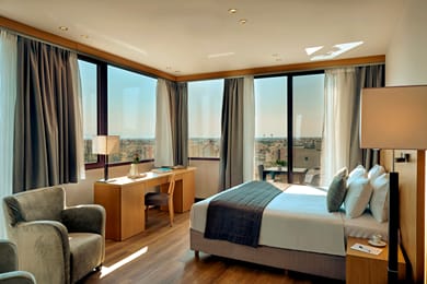 Zeus Thessaloniki Lazart - Image 2