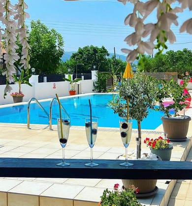 Lecini Studios - Image 4