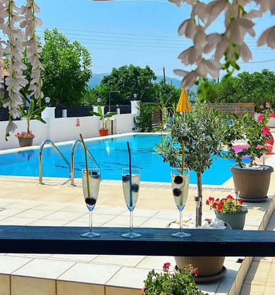 Lecini Studios - Image 7