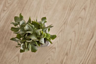 Boho Suites Mykonos - Image 3