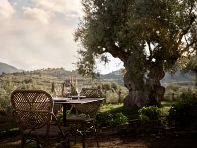 Leeda's Villas Zakynthos - Image 2