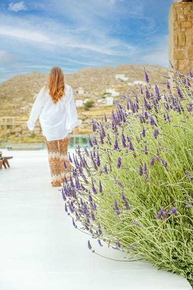 Legendary Suites Mykonos - Image 7