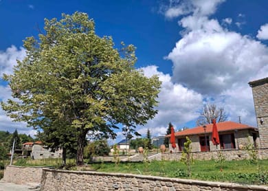 Le Marron - Image 5
