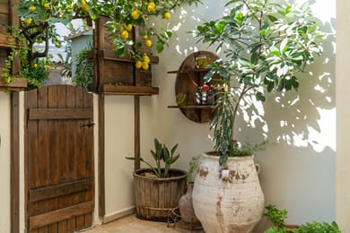 Lemon Garden Residence - Image 5