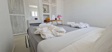 Deluxe One Bedroom Villa