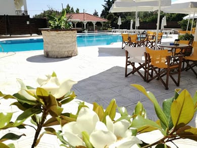 Leonidas Apartments & Suites - Image 3