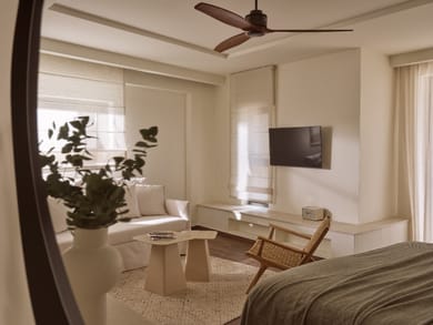 Premium Executive Suite