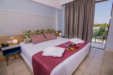 Deluxe Double Garden or Pool View Single Use