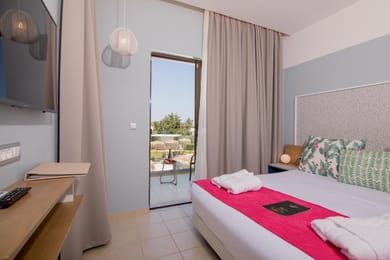 Deluxe Double Garden or Pool View Single Use