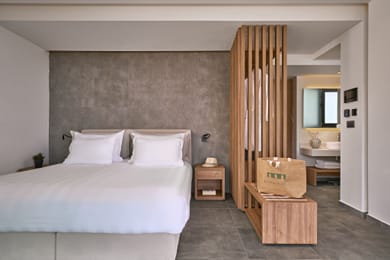Deluxe Junior Suite Garden View