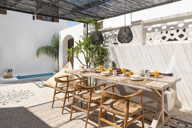 Lindian Plumeria - Image 4