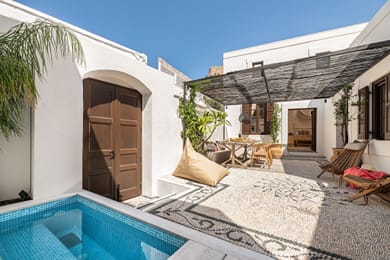 Lindian Plumeria - Image 3