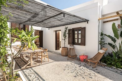 Lindian Plumeria - Image 6