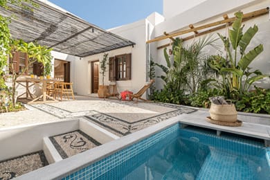 Lindian Plumeria - Image 2