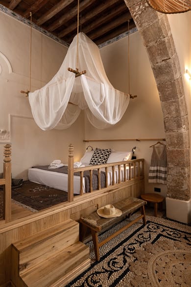 Lindian Plumeria - Image 7