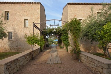 Liodentra Mani - Image 5