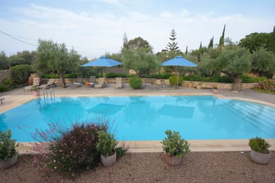 Liodentra Mani - Image 6