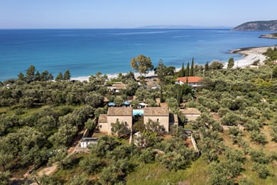 Liodentra Mani - Image 2