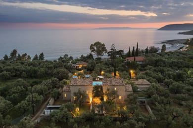 Liodentra Mani - Image 4