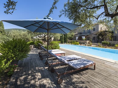 Liodentra Mani - Image 7