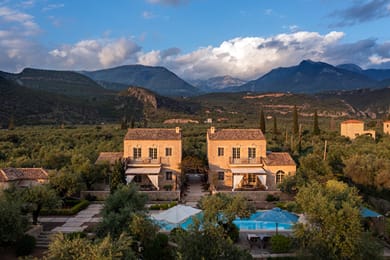 Liodentra Mani - Image 3