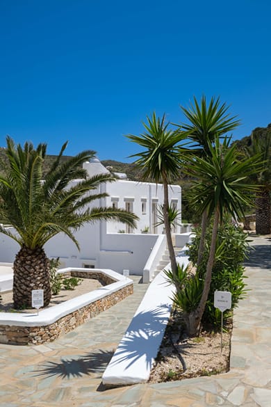 Lithos Suites Sifnos - Image 6