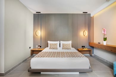 Deluxe Room Pool View