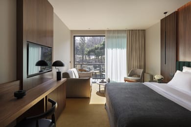 Deluxe Room with Mountain View