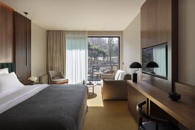 Standard Double with Mountain View