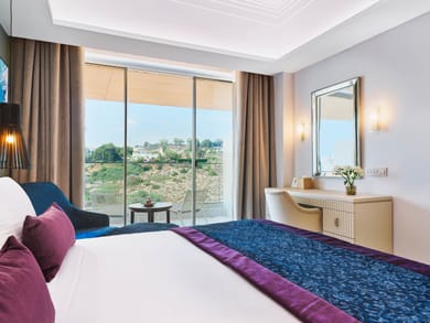 Deluxe Single Room with Inland View