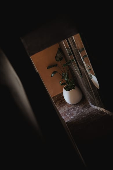 MAHA_Her City Living - Image 4