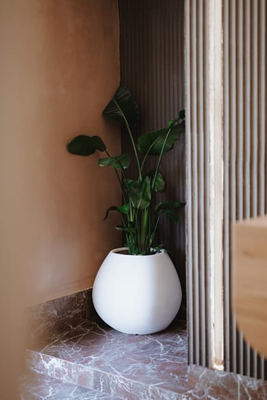 MAHA_Her City Living - Image 5
