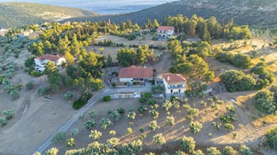 Maistros Studios - Image 2