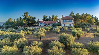 Maistros Studios - Image 5