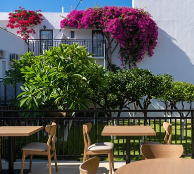 Malia Holidays - Image 5