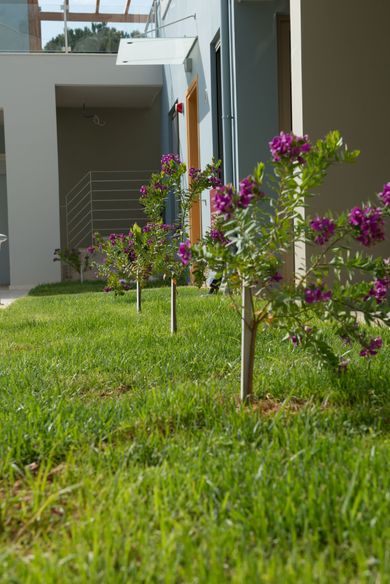 Mantinia Bay - Image 6