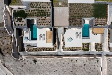 Mardanza Exclusive - Image 2