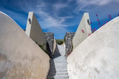 Mardanza Exclusive - Image 5