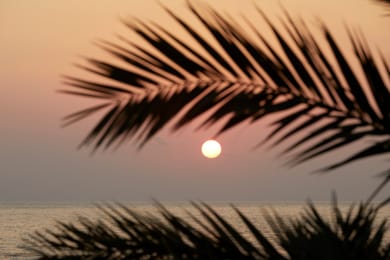 Mare Paphos - Image 7