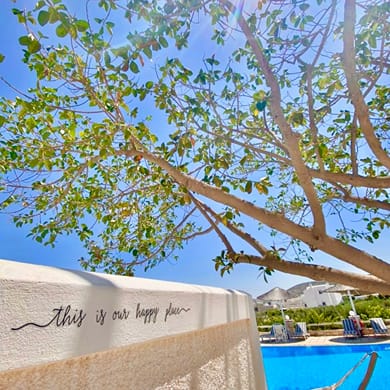 Margarita Studios - Image 4