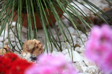 Marietta Hotel & Apartments Rhodes - Image 6