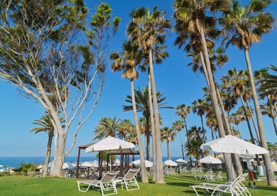 Leonardo Plaza Cypria Maris Beach Hotel & Spa - Image 4