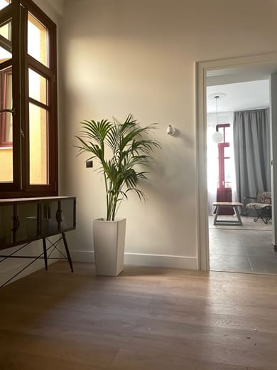 Maroon Bottle Boutique Suites - Image 5