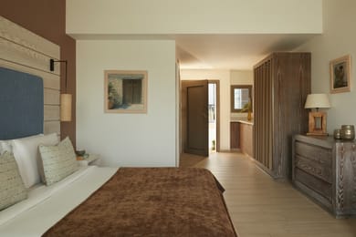 Double Room Swim up Pool view (Bungalow Area)