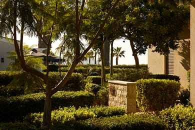 Mare Ayia Napa - Image 2