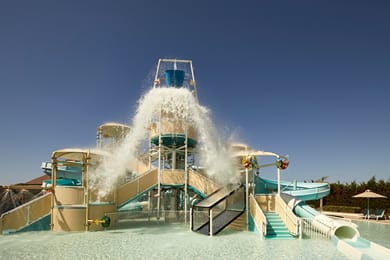 Mare Ayia Napa - Image 3