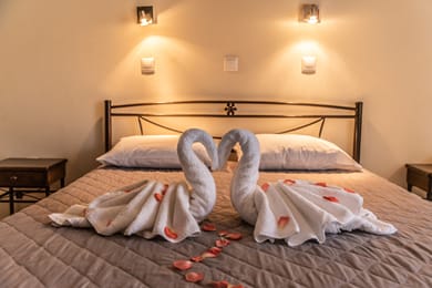 STANDARD DOUBLE ROOM  - 1 DOUBLE BED
